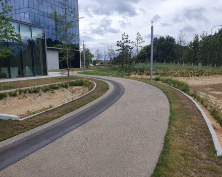 Construction of "gravel lawn" parking with TerraCottem Turf