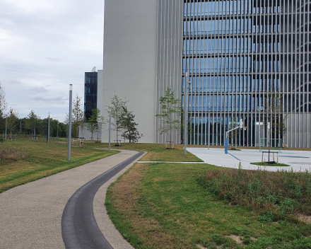 Aanleg parking in grindgazon met TerraCottem Turf