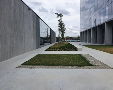 Construction of "gravel lawn" parking with TerraCottem Turf