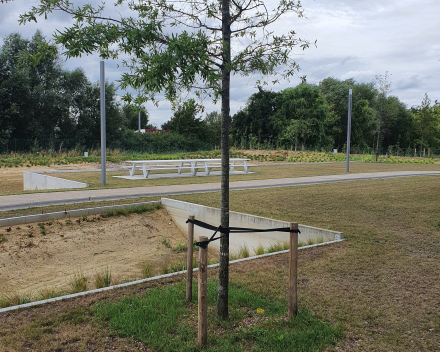 Construction of "gravel lawn" parking with TerraCottem Turf