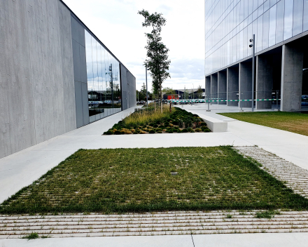 Construction of "gravel lawn" parking with TerraCottem Turf