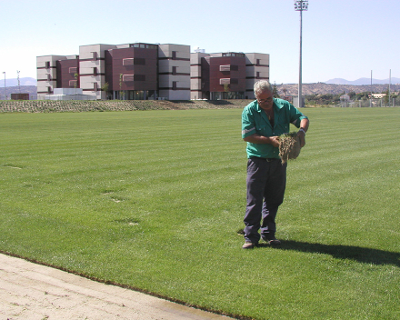 Graswortelontwikkeling met TerraCottem turf in La Ciudad del fútbol de Las Rozas, Madrid, Spanish Football Federation, Spanje.