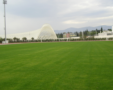 TerraCottem Turf at OAKA - Athens Olympic Sports Complex, Athens, Greece.