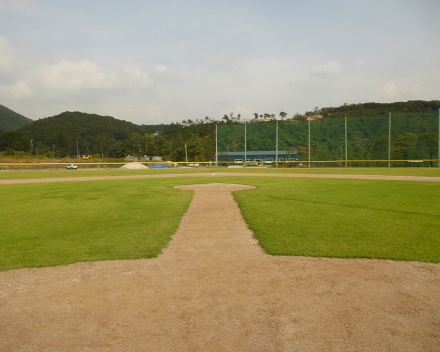 TerraCottem Turf at Paju baseball field, Paju, Gyunggi-Do, South Korea.
