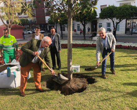 Plantación del árbol conmemorativo Congreso Estepona 2018, Magnolia grandiflora