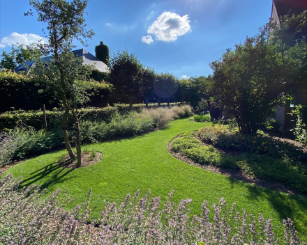 JEAMIE HENDRICKX quiere crear un oasis de verdor en cada jardín