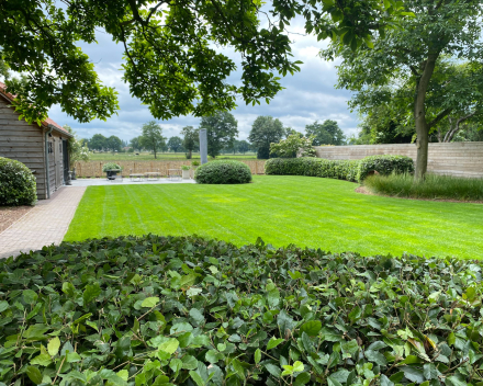 Project in de kijker: Jeamie Hendrickx wil in elke in elke tuin een oase van groen creëren.