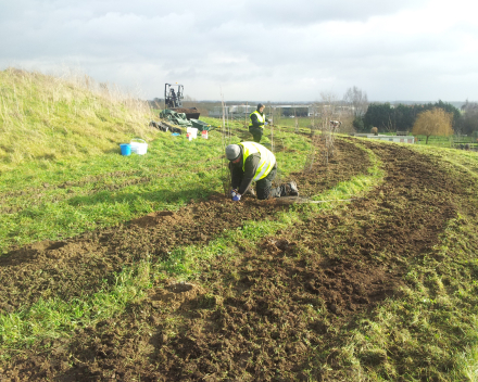 De totale groene oplossing