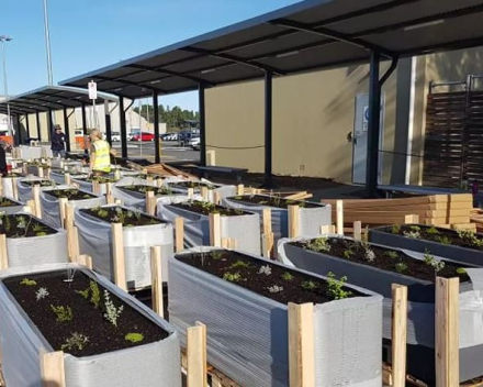 Hobart Airport where beautiful planter boxes welcome travellers at Hobart Airport.