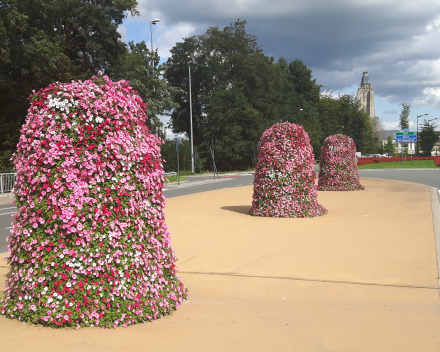 Oudenaarde, de gemeente met lovenswaardige bloemeninitiatieven