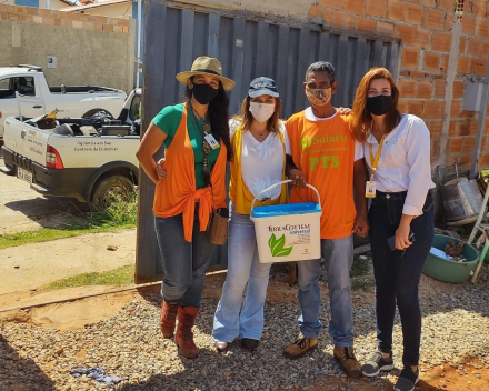 Planting trees and cleaning up backyards to prevent dengue fever