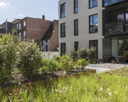 Groendaken met biodiversiteit als meerwaarde bij projectontwikkeling in hartje Gent.