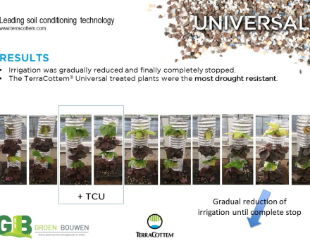 Optimización de la capacidad de retención de agua de los sustratos de cultivo usados en jardinería vertical.