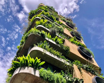 Roof gardens