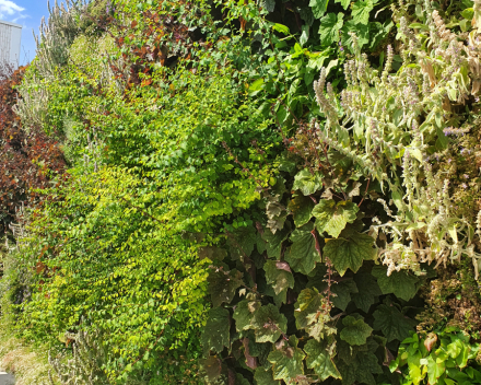 Jardines en Terraza