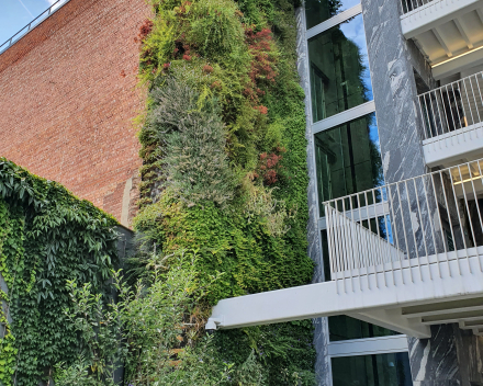 Jardines en Terraza
