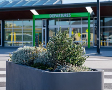 Hobart Airport waar prachtige bloembakken de reizigers verwelkomen 