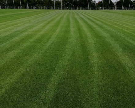 TerraCottem Turf bodemverbeteraar voor gazon en sportvelden