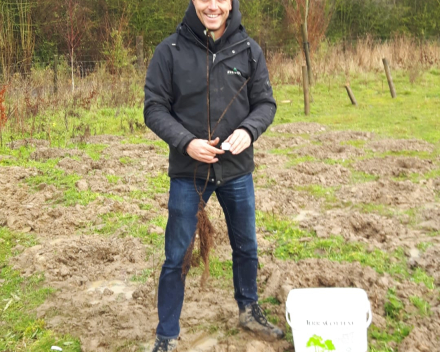 Boomaanplanting voor de Warmste Week