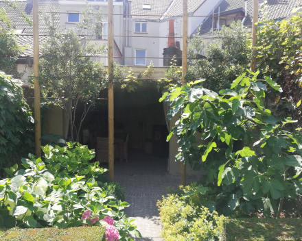 Photos