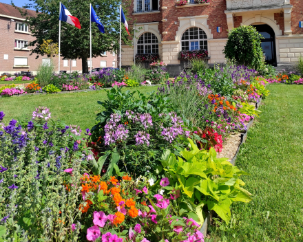 Parterres de fleurs