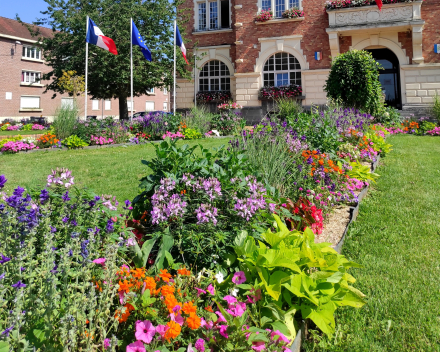 Flower Beds