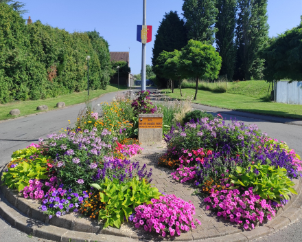 Parterres de fleurs