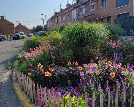 Parterres de fleurs