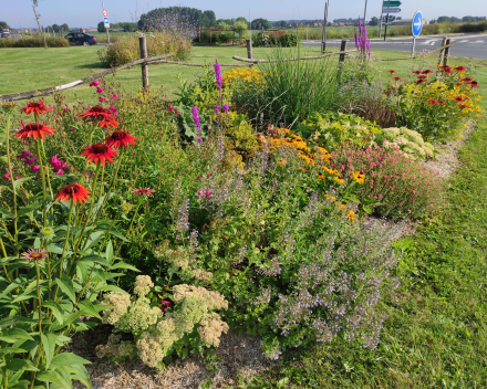 Flower Beds