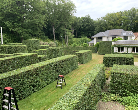 Project in de kijker: De tuinen van Gilles Dehem.
