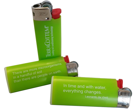 Lighter BIC