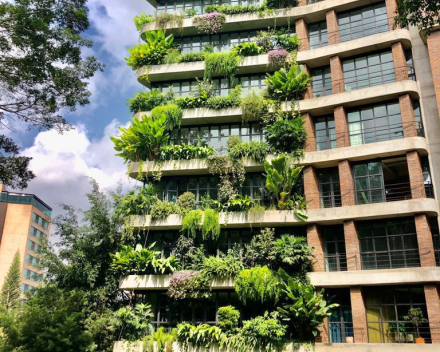 Jardines en Terraza TerraCottem Hotel 23 in Medellin, Colombia