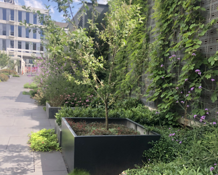 Jardins suspendus
