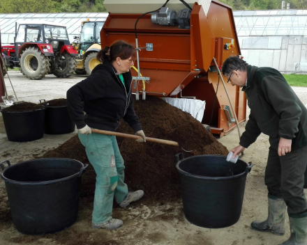 Calibración de la dosis de TerraCottem Universal en el sustrato.