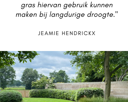 Project in de kijker: Jeamie Hendrickx wil in elke in elke tuin een oase van groen creëren.
