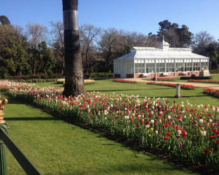 This is what Bendigo’s intensive horticulture is all about, glorious displays wrapped around Victorian architecture.