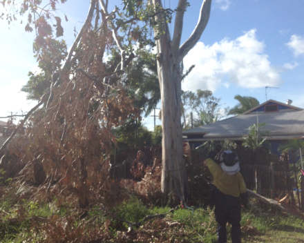 A cyclone and a community