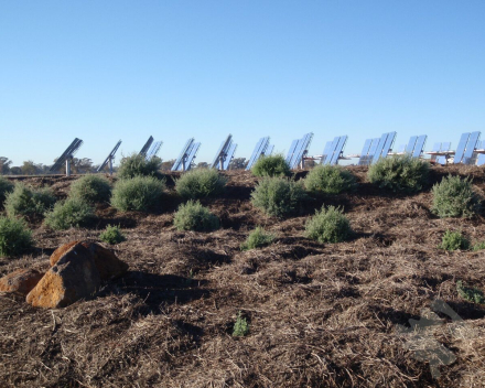 Creating a functional yet beautiful landscape around this solar energy testing facility (above) near Bridgewater was not only appropriate stewardship of the land, ...