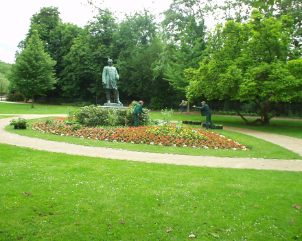 Aplicação TerraCottem Complement em jardins no telhado.