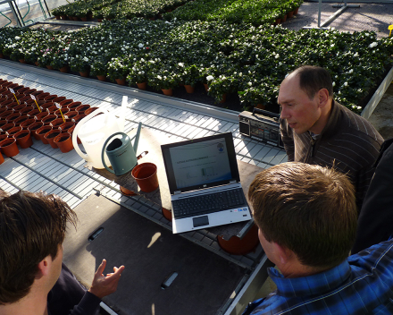 De groei van de plant wordt gemonitord, het waterverbruik gemeten, enz. Alle data wordt statistisch verwerkt en neergeschreven in een wetenschappelijk rapport.