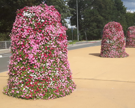 Wereldwijde faam voor bloemdisplays