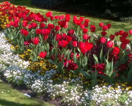 Britain in Bloom - Another Award for Fareham!