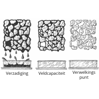 Hoe hoger de waterretentiecapaciteit van een bodemverbeteraar, hoe meer water er beschikbaar is voor de plant?