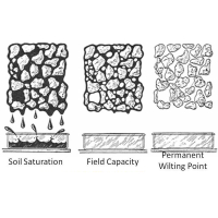 The higher a soil amendment’s water retention capacity, the more plant available water?