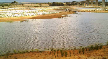 Sewerage ponds into wildlife lakes