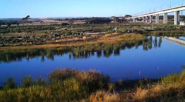 Sewerage ponds into wildlife lakes