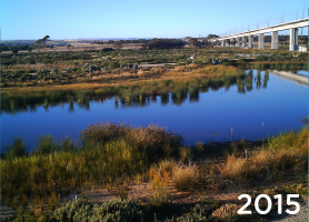 Environmental reforestation with TerraCottem Universal at Christies Beach, Noarlunga Downs, SA, Australia – a decommissioned coal plant is integrated in the existing coastal wetlands – 95+% survival rate (2015).