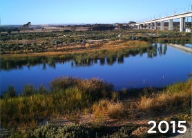 Restauration environnementale à Christies Beach, Noarlunga Downs, SA, Australie - Transformation d'une station d'épuration au sud d'Adélaïde, en un point névralgique de biodiversité - le taux de réussite est estimé (de manière prudente) à 95% (2015)
