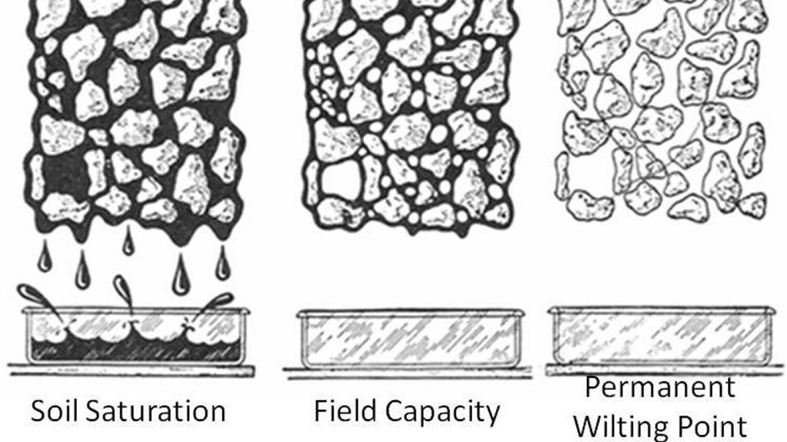 The higher a soil amendment’s water retention capacity, the more plant ...