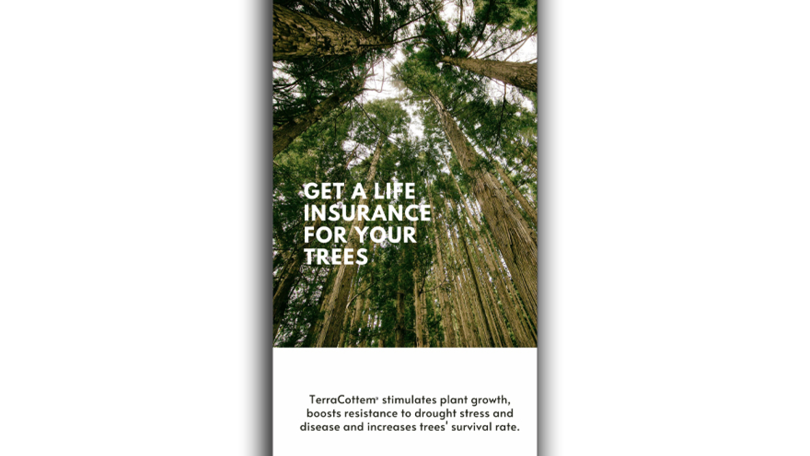 Banner 'Life Insurance' Terracottem